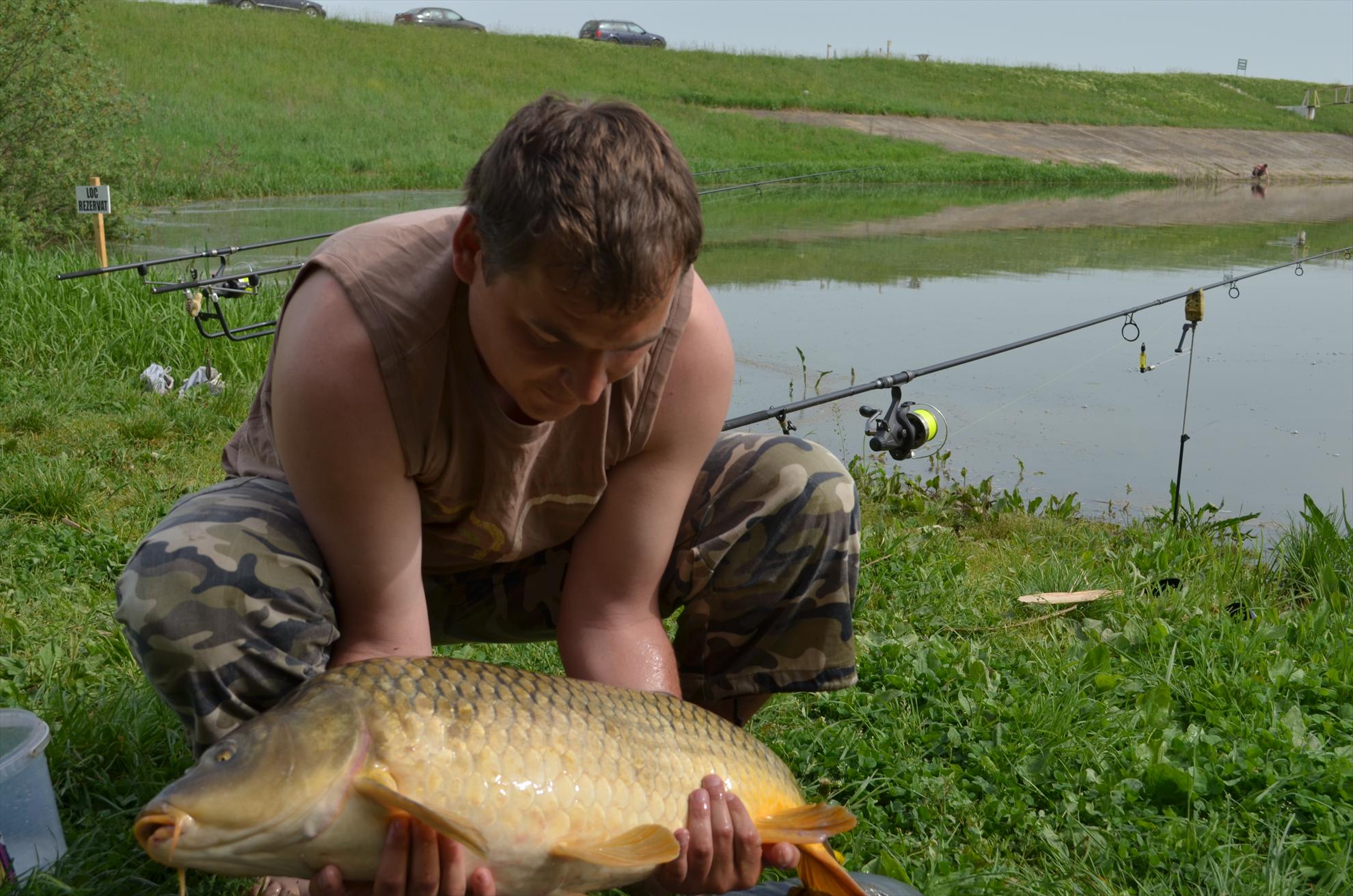 sisterea - dsc0565.JPG